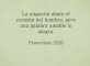 proverbios12-25-dev